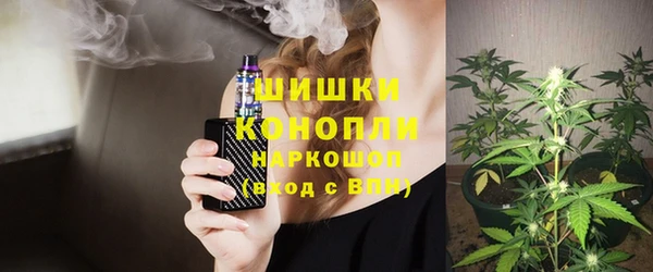 спиды Вяземский