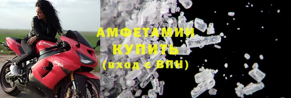 спиды Вяземский