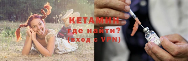 спиды Вяземский