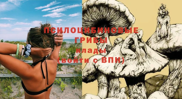 спиды Вяземский