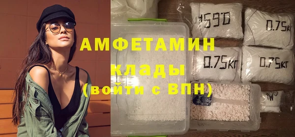 спиды Вяземский