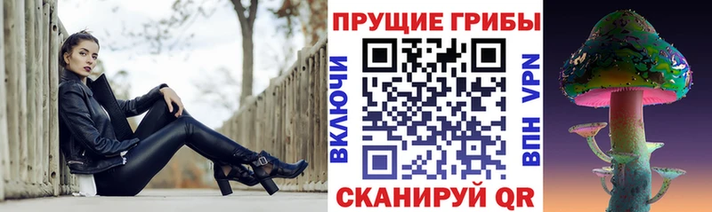 Псилоцибиновые грибы Psilocybine cubensis  Ивангород 